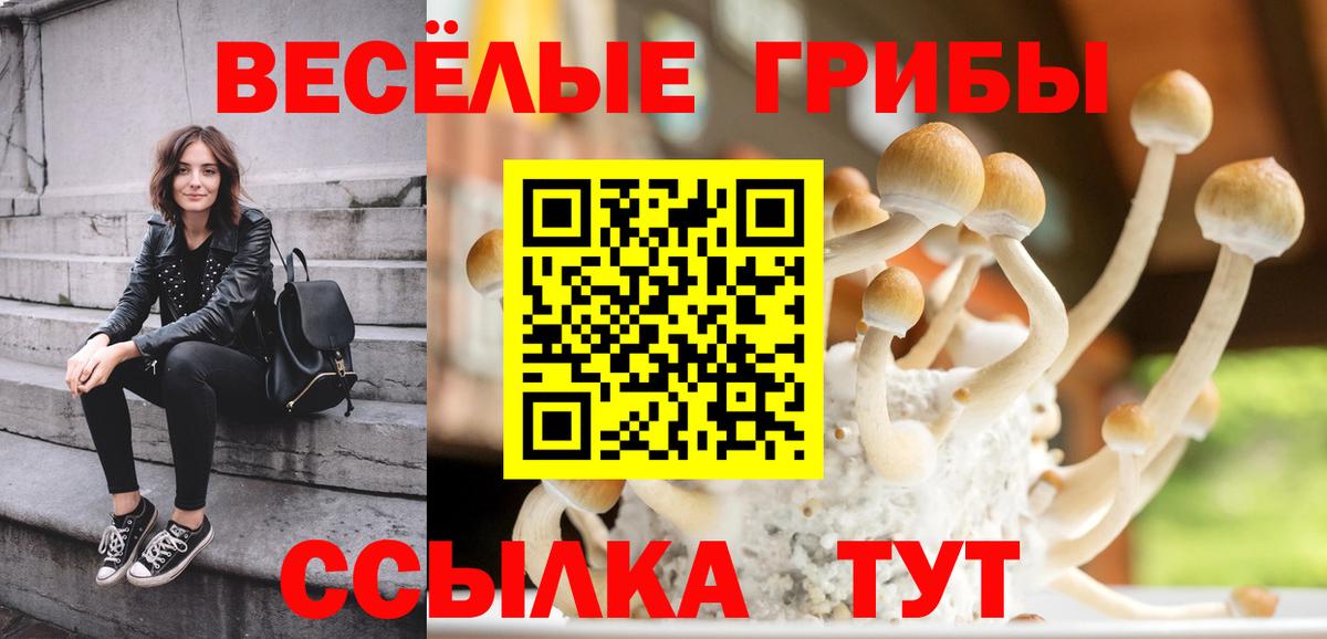 Галлюциногенные грибы Cubensis Сухой Лог